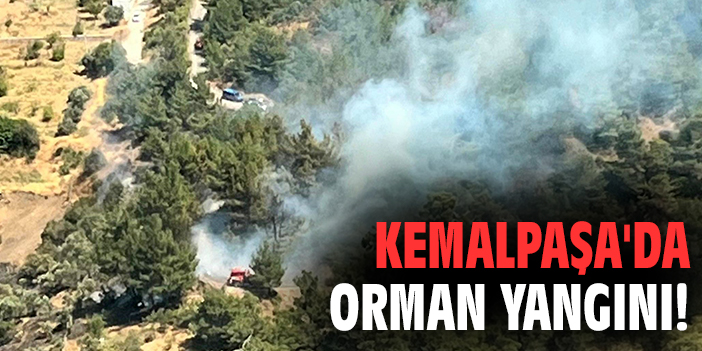Kemalpaşa'da orman yangını!