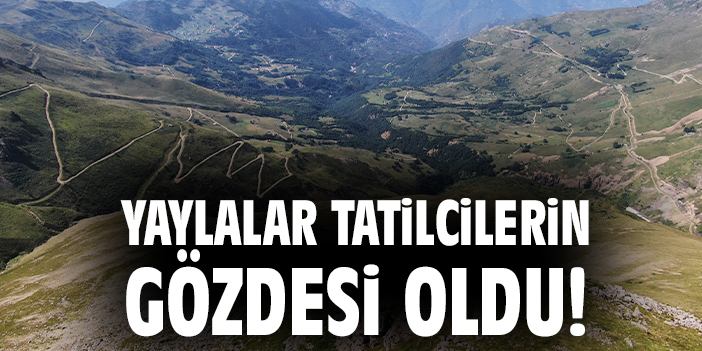 Yaylalar tatilcilerin gözdesi oldu!