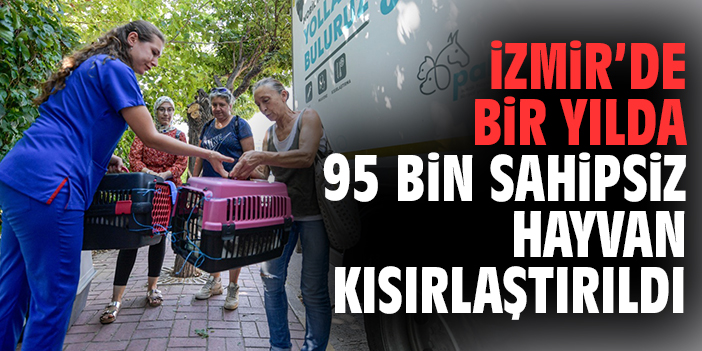 İzmir’de bir yılda 95 bin sahipsiz hayvan kısırlaştırıldı