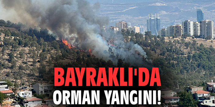 Bayraklı'da orman yangını!