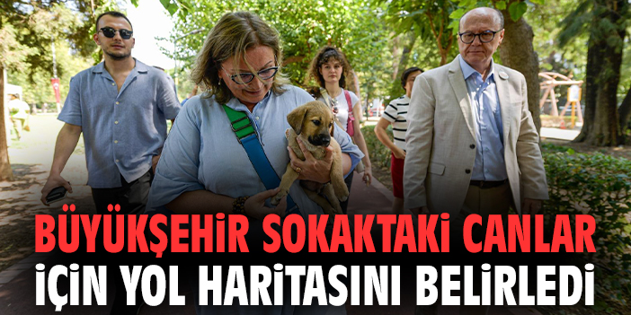 Büyükşehir Sokaktaki canlar için yol haritasını belirledi