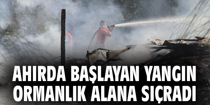 Ahırda başlayan yangın ormanlık alana sıçradı