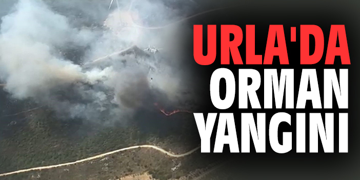 Urla'da orman yangını