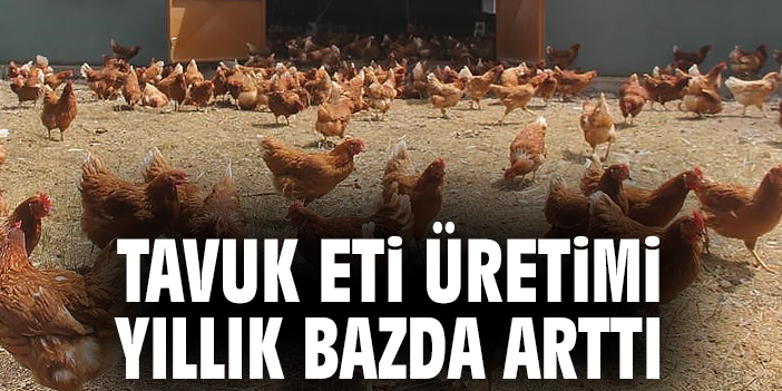 Tavuk eti üretimi yıllık bazda arttı