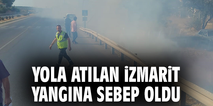 Yola atılan izmarit yangına sebep oldu