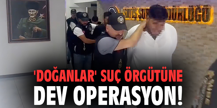 'Doğanlar' suç örgütüne dev operasyon!