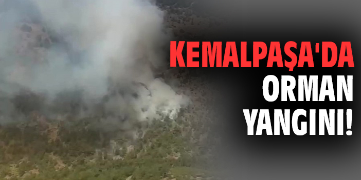 Kemalpaşa'da orman yangını!