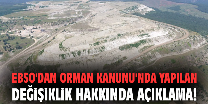 EBSO'dan Orman Kanunu'nda yapılan değişiklik hakkında açıklama!
