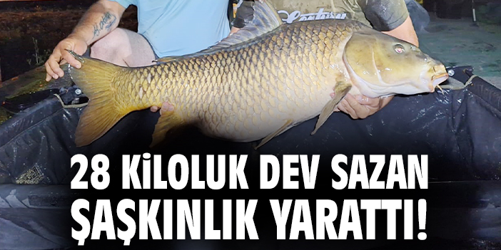 28 kiloluk dev sazan şaşkınlık yarattı!