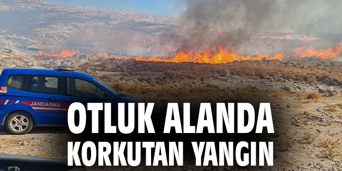 Otluk alanda korkutan yangın