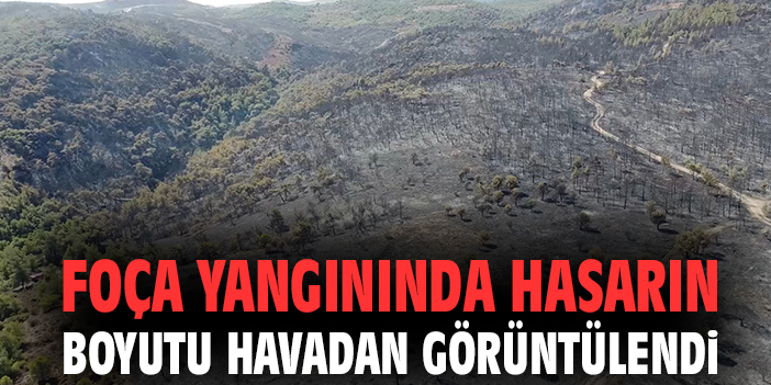 Foça yangınında hasarın boyutu havadan görüntülendi