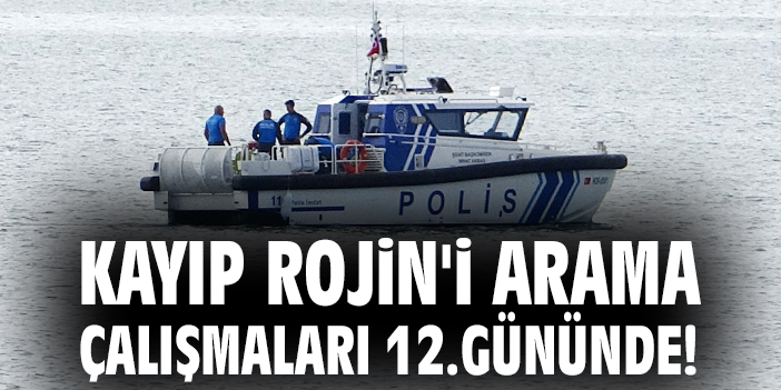 Kayıp Rojin'i arama çalışmaları 12.gününde!