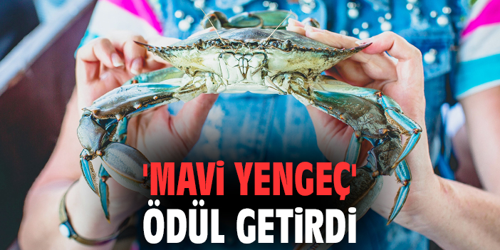 'Mavi yengeç' ödül getirdi