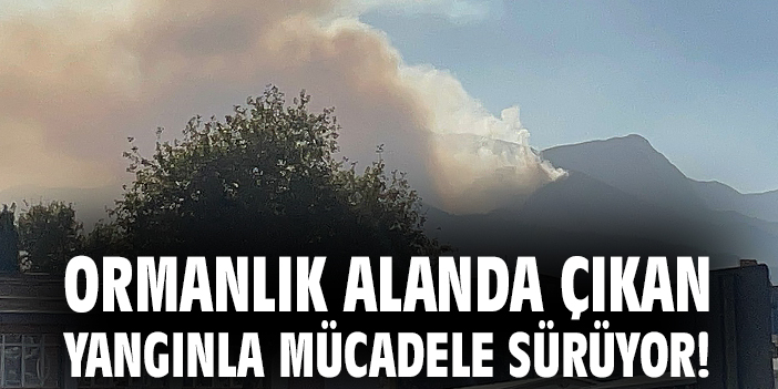 Ormanlık alanda çıkan yangınla mücadele sürüyor!