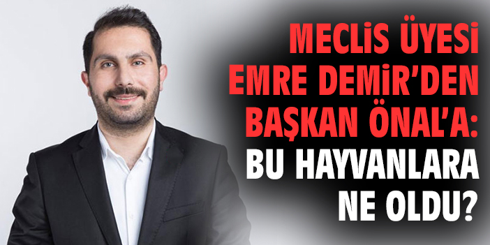 Meclis Üyesi Emre Demir’den Başkan Önal’a: Bu hayvanlara ne oldu?