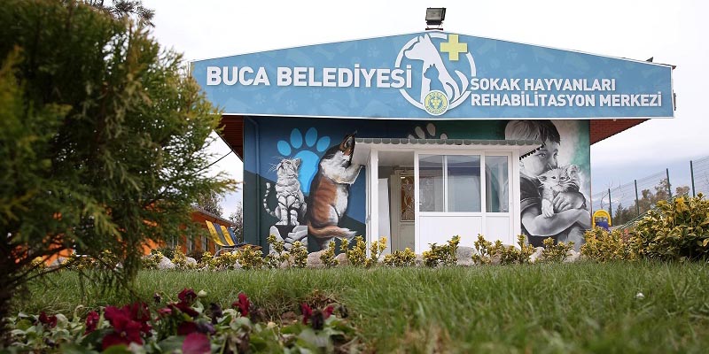 Buca’nın duvarları sanatla boyandı