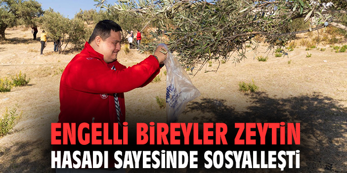 Engelli bireyler zeytin hasadı sayesinde sosyalleşti