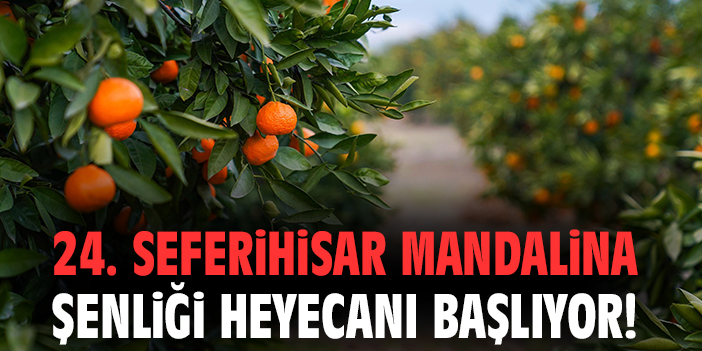 24. Seferihisar Mandalina Şenliği heyecanı başlıyor!