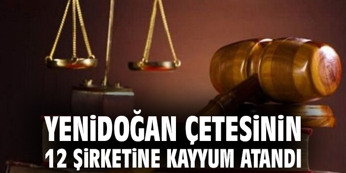 Yenidoğan çetesinin 12 şirketine kayyum atandı
