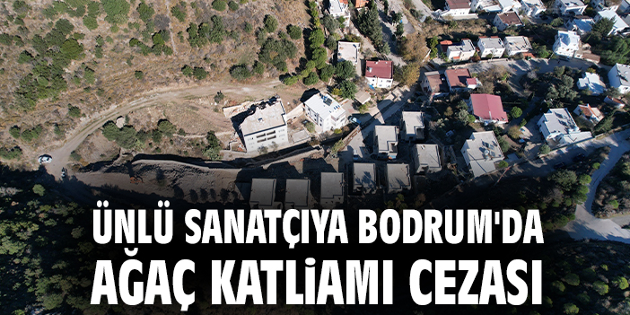 Ünlü sanatçıya Bodrum'da ağaç katliamı cezası