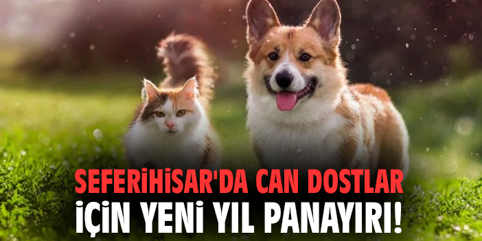 Seferihisar'da can dostlar için yeni yıl panayırı!