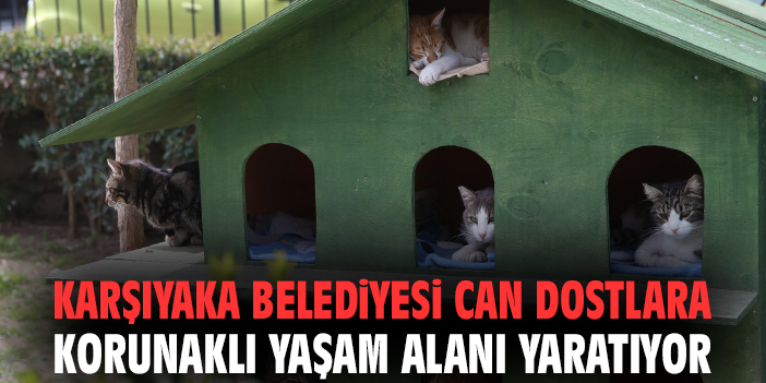 Karşıyaka Belediyesi can dostlara korunaklı yaşam alanı yaratıyor