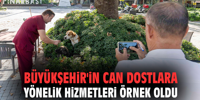 Büyükşehir'in can dostlara yönelik hizmetleri örnek oldu