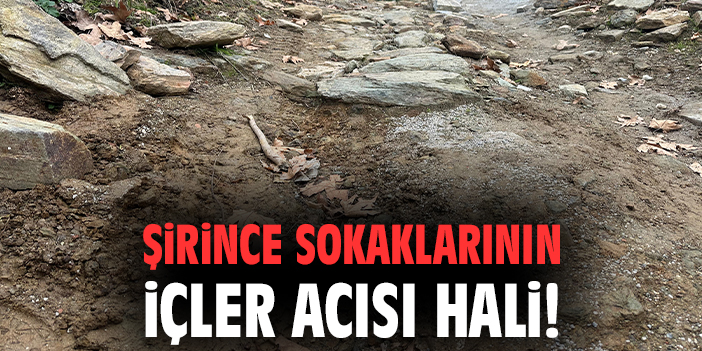 Şirince sokaklarının içler acısı hali!