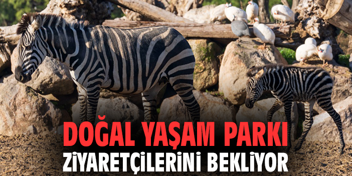 Doğal Yaşam Parkı ziyaretçilerini bekliyor