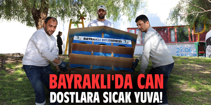 Bayraklı'da can dostlara sıcak yuva!