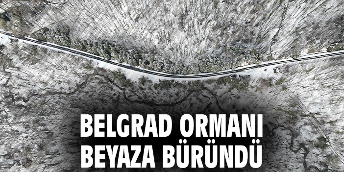 Belgrad Ormanı beyaza büründü