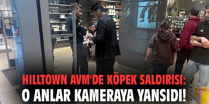 Hilltown AVM'de köpek saldırısı: O anlar kameraya yansıdı!