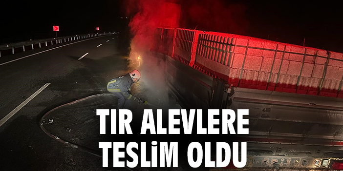 Tır alevlere teslim oldu