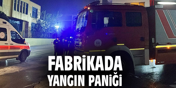 Fabrikada yangın paniği