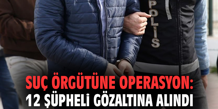 Suç örgütüne operasyon: 12 şüpheli gözaltına alındı