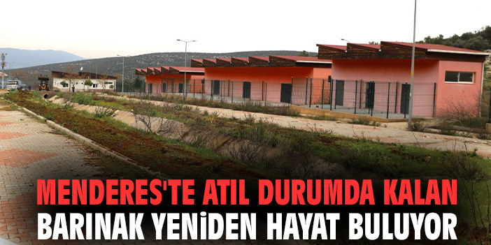 Menderes'te atıl durumda kalan barınak yeniden hayat buluyor