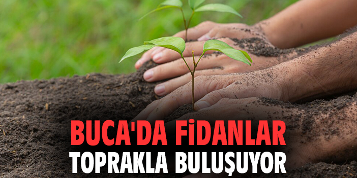 Buca'da fidanlar toprakla buluşuyor