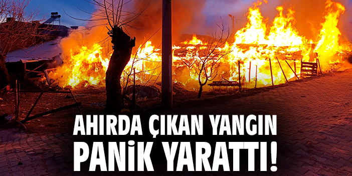 Ahırda çıkan yangın panik yarattı!