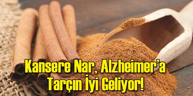 Kansere Nar, Alzheimer’a Tarçın İyi Geliyor!