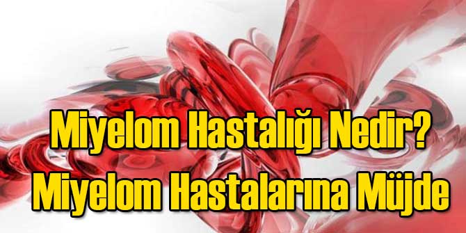 Miyelom Hastalığı Nedir? Miyelom Hastalarına Müjde!