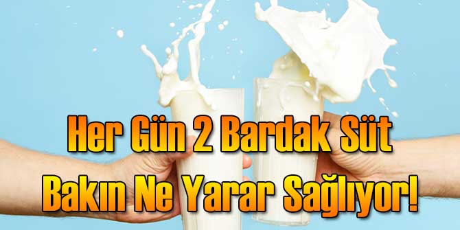 Her Gün 2 Bardak Süt Bakın Ne Yarar Sağlıyor!