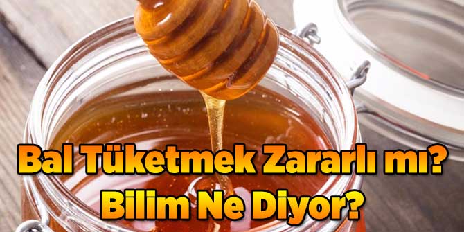 Bal Tüketmek Zararlı mı? Bilim Ne Diyor?