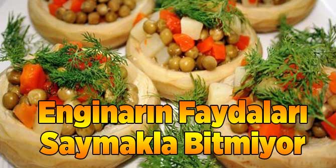 Enginarın Faydaları Saymakla Bitmiyor