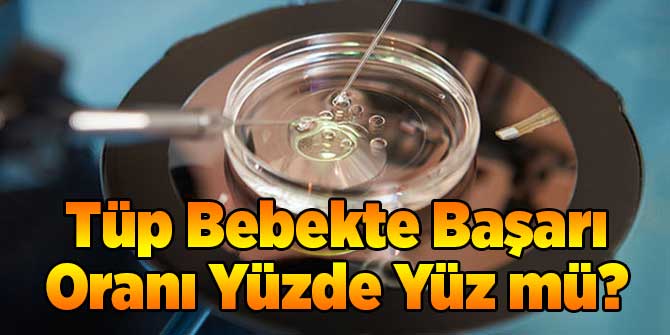 Tüp Bebekte Başarı Oranı Yüzde Yüz mü?