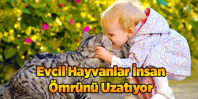 Evcil Hayvanlar İnsan Ömrünü Uzatıyor