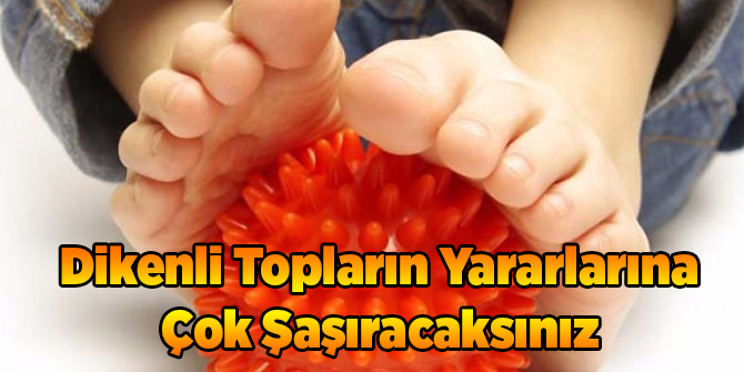 Dikenli Topların Yararlarına Çok Şaşıracaksınız
