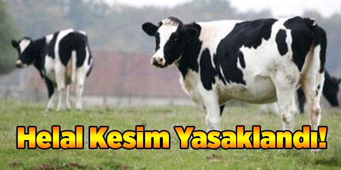 Helal Kesim Yasaklandı!