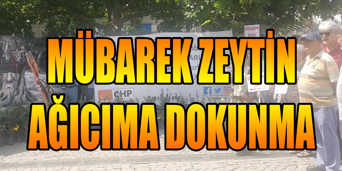 MÜBAREK ZEYTİN AĞICIMA DOKUNMA