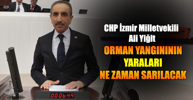 CHP’Lİ YİĞİT ORMAN YANGINININ YARALARI NE ZAMAN SARILACAK