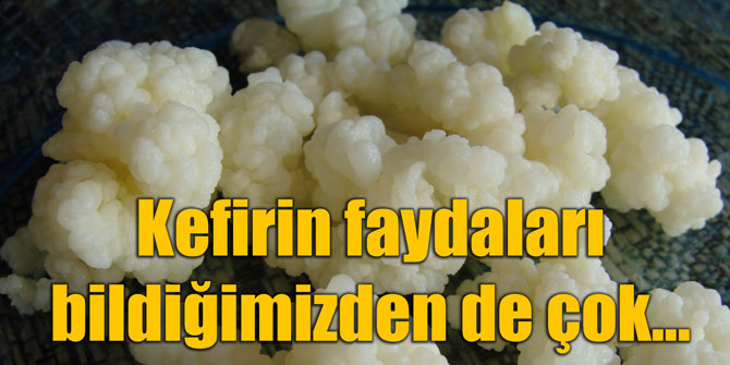Kefirin faydaları bildiğimizden de çok...